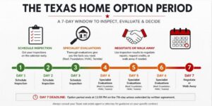 Seven-day timeline showing option period days 1 through 7 with specialist inspections highlighted before the deadline.